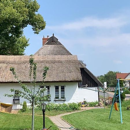 Ferienhaus Alte Schule Rambin Auf Ruegen エクステリア 写真